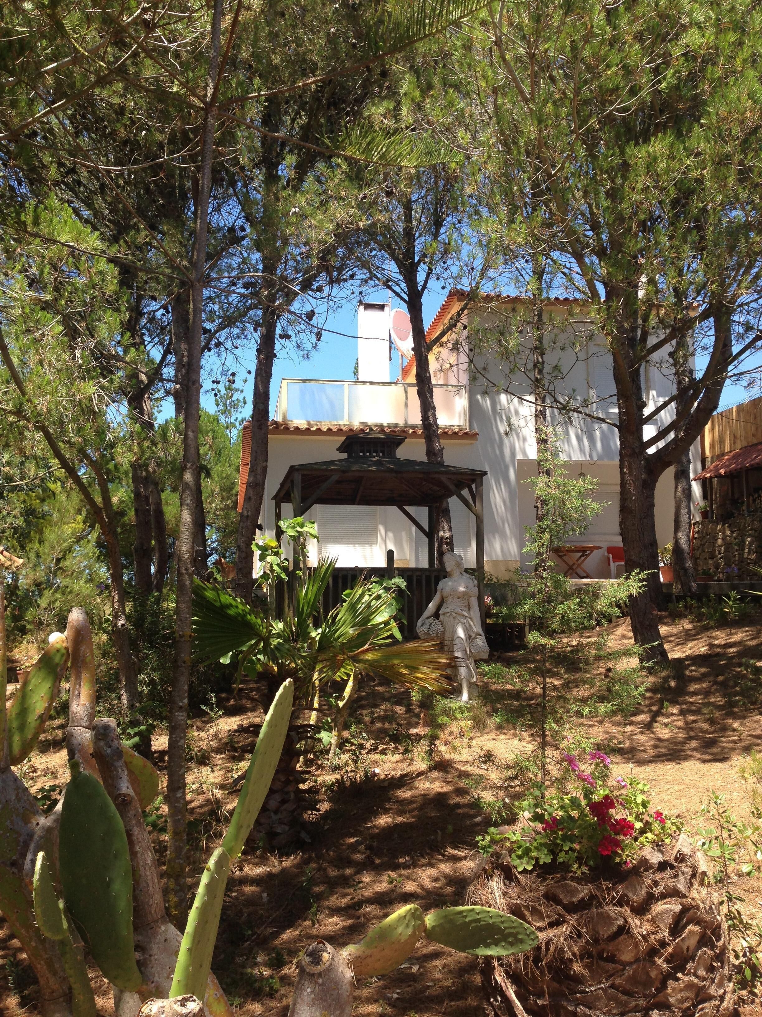 Wavin 'Trees Ericeira ~ Casa do Pinhal