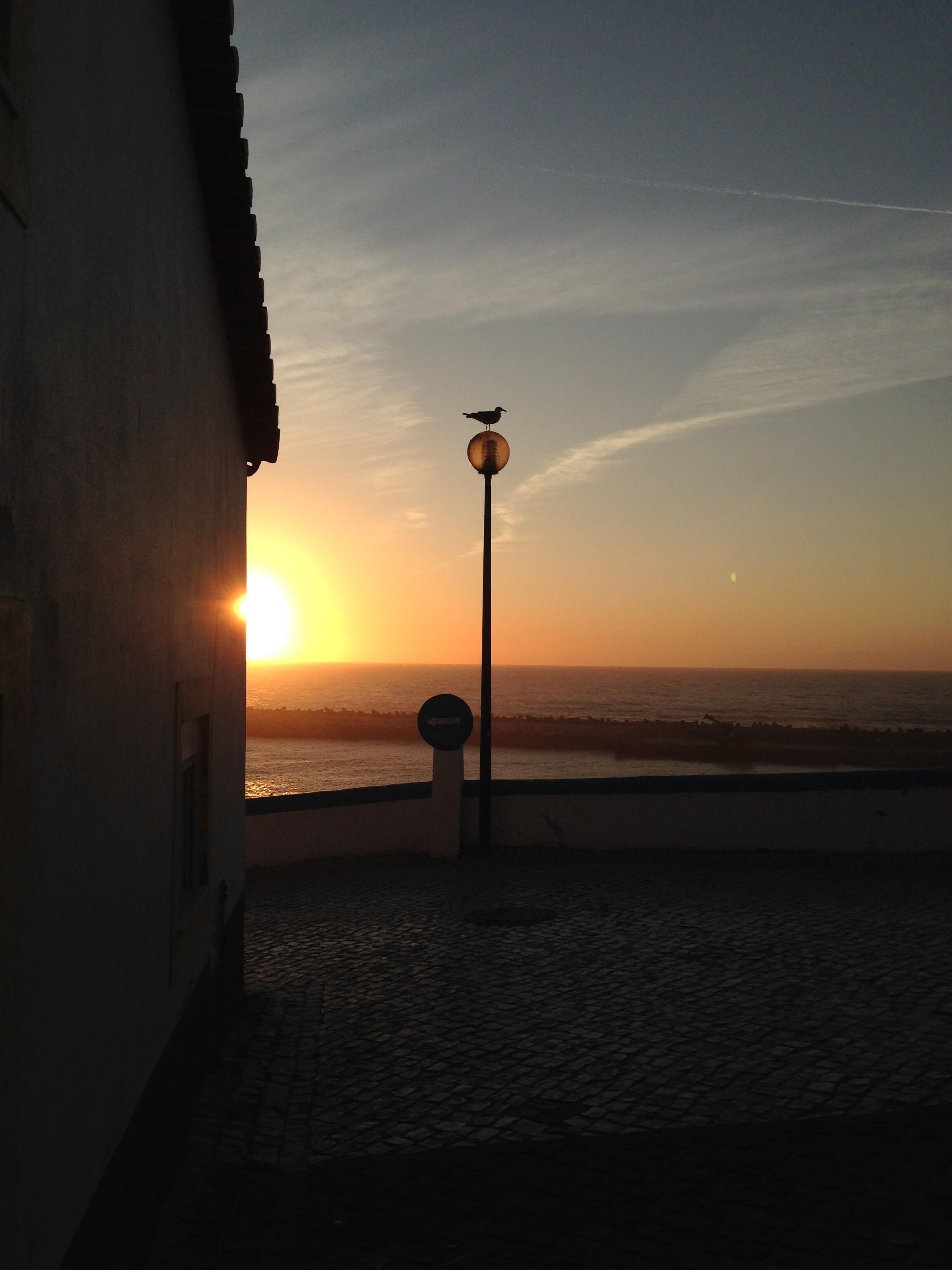 Wavin 'Trees Ericeira ~ Casa do Pinhal