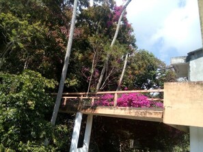 Property grounds - Eco Hotel El Refugio, In the mountains but near the sea. - ROOM 2 (PLUMA HIDALGO)