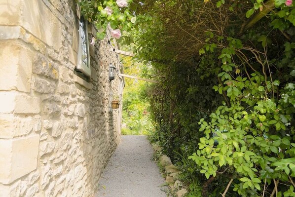 Property grounds - Lovely property in the heart of Somerset (Wells)