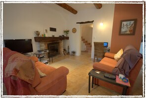 TV, fireplace, music library, video library
