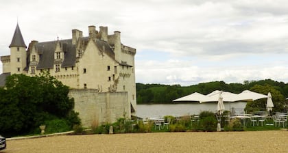 Stunning home in the beautiful village of Montsoreau in the Loire Valley. 4 star