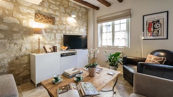 Smart-tv, een open haard, een dvd-speler en boeken