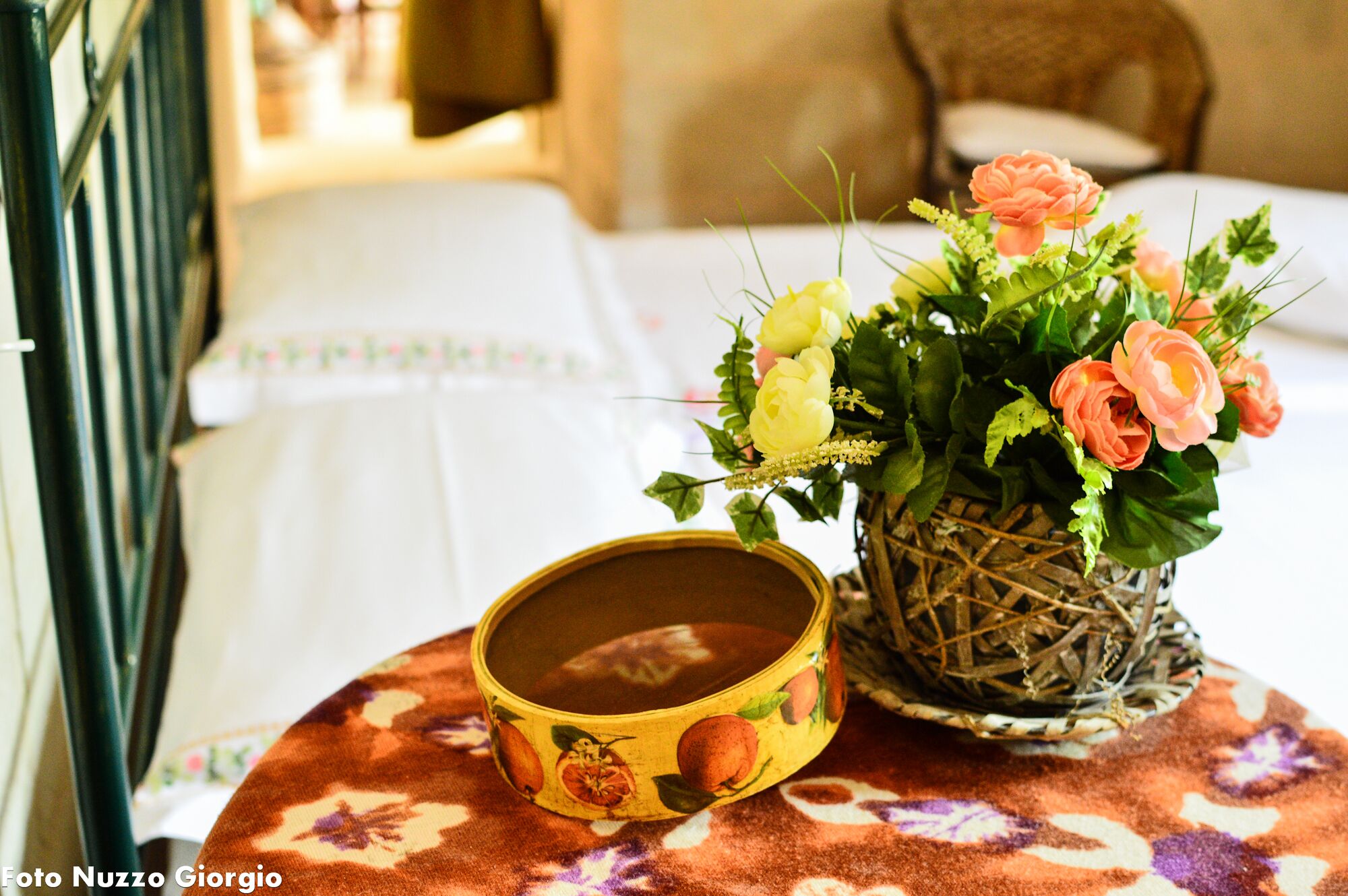 Bianca's Pajara surrounded by olive trees