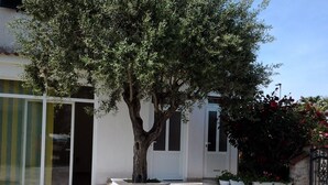 Un edificio moderno con un gran árbol en el centro, paredes blancas y piso de piedra.