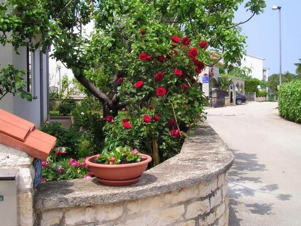 Stunning stone wall features a lush potted plant.