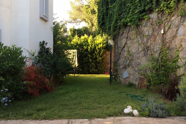 back garden with swing