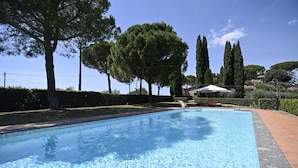 A swimming pool with a clear blue water surface, surrounded by a landscaped garden with trees and a hedge.