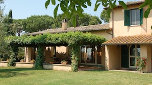 A house with a covered patio, a chimney, and a garden with potted plants.