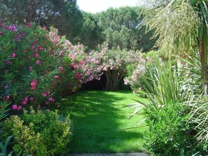 Property grounds - Villa golfe de St Tropez, quiet comfortable, bungalow 6 pers (Cogolin)