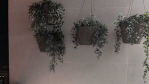 Un taburete de mimbre con una lámpara esférica blanca, tres macetas colgantes con follaje y una pared de azulejos.