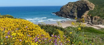 Charming Algarve Cottage Slow Escape Terrace & Yoga