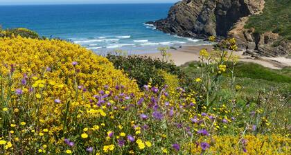 Charming Algarve Cottage Slow Escape Terrace & Yoga