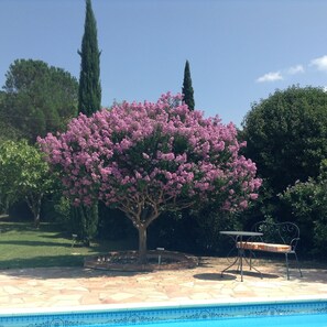 Outdoor dining - La Casa Assolellada, Detached Villa in quiet location with private pool (Reynes)