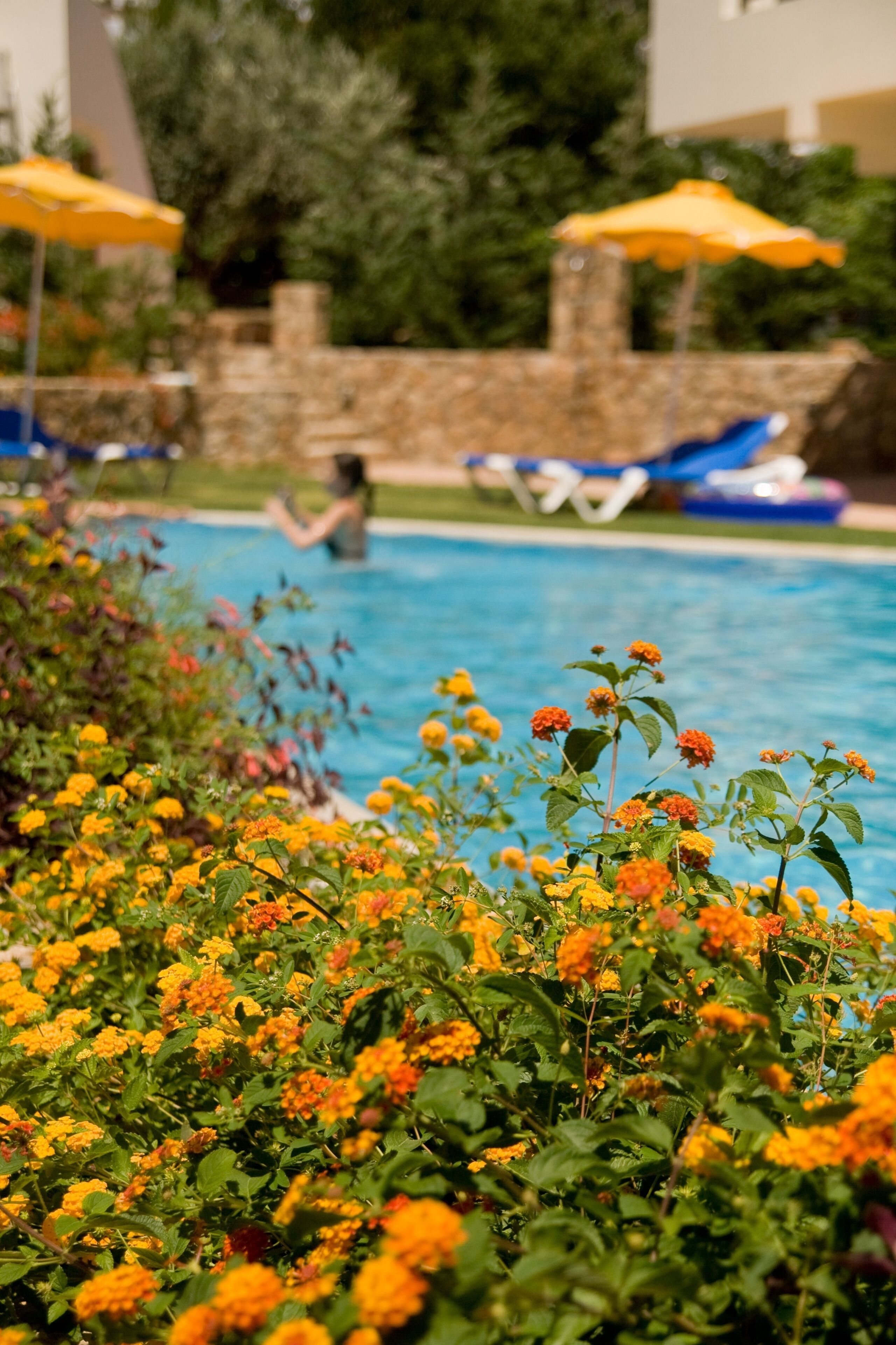 Piscine chauffée