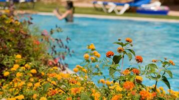 Piscine chauffée