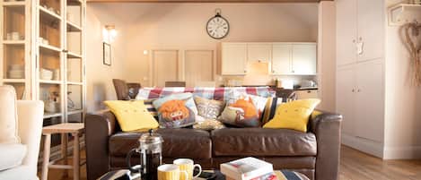 TV, fireplace, DVD player, books