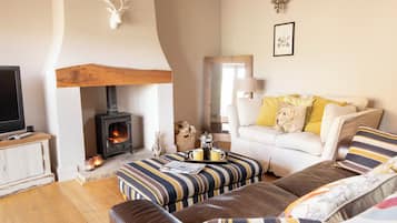 TV, fireplace, DVD player, books