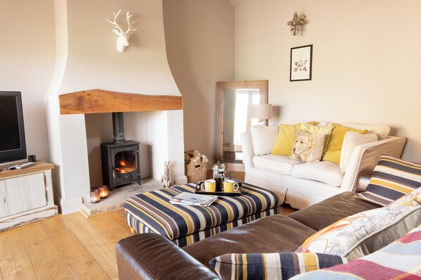 TV, fireplace, DVD player, books