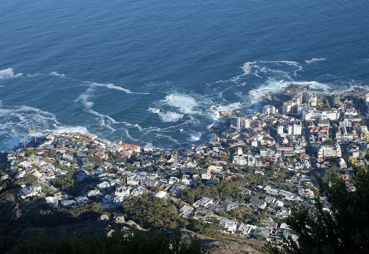 Imagen de perfil del propietario o de la propietaria