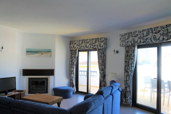 TV, fireplace, DVD player, books