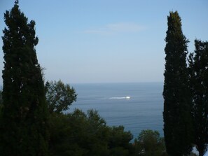Une vue sur la mer, avec un bateau à l’horizon, entouré de grands arbres.