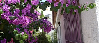chalet bouganville vista mare a 500 m. dalla spiaggia disponibile wifi