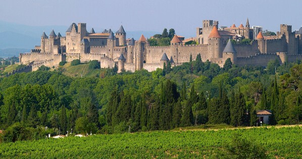Un castillo histórico con múltiples torres y una muralla fortificada, rodeado de abundante vegetación y viñedos.
