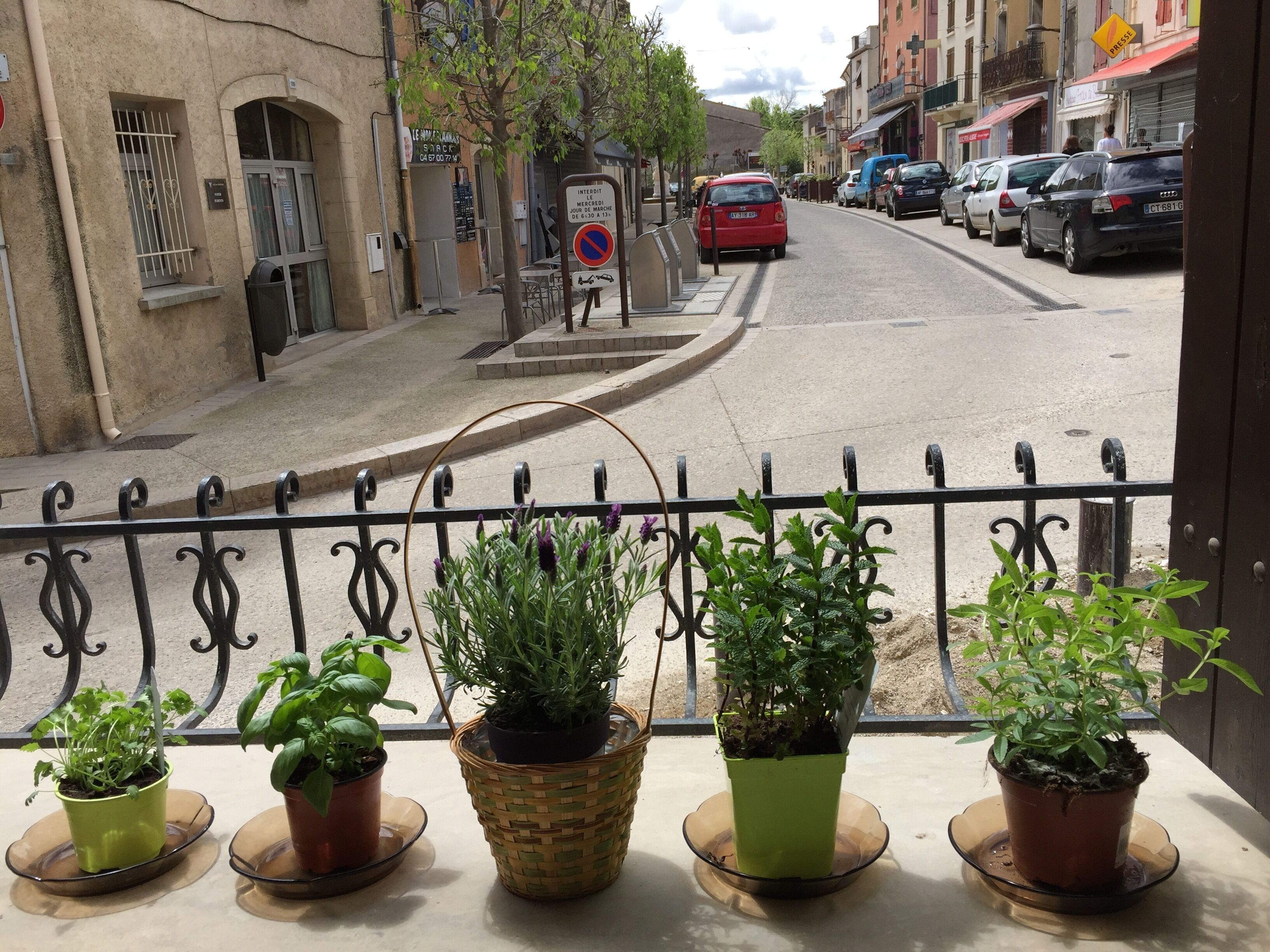 Un balcon agrémenté de plantes en pot, une vue sur la rue et un panneau indiquant qu’il est interdit de se garer.