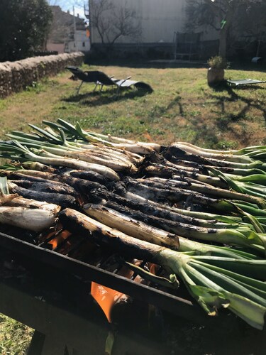 Cottage with fireplace Ca l'Esquelleta with a capacity of 1 to 8 people