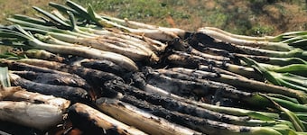 Cottage avec cheminée Ca l'Esquelleta d'une capacité de 1 à 8 personnes