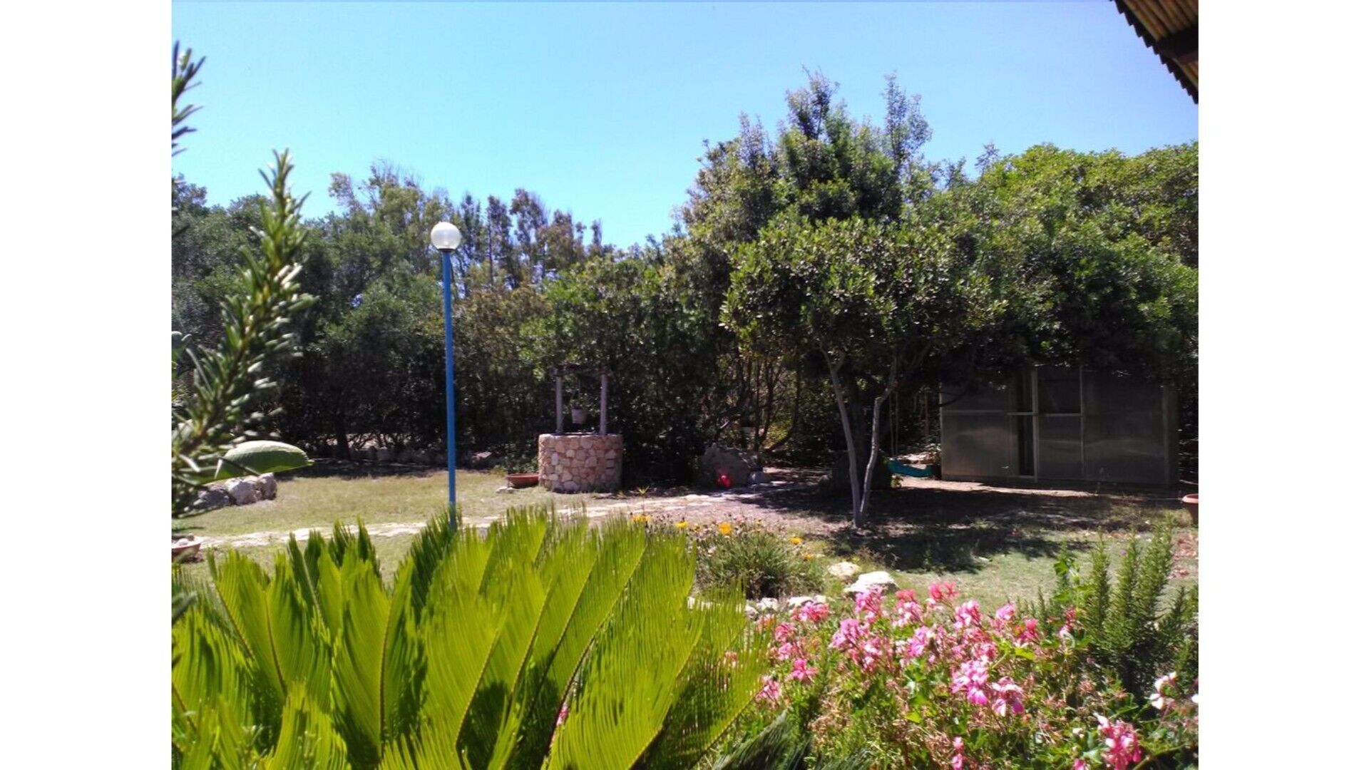 B&B Azzurro "Bougainville"