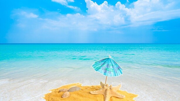 Une plage de sable avec une étoile de mer et un coquillage, ainsi qu’un parasol bleu et blanc.