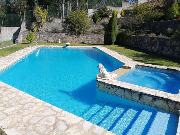 A rectangular swimming pool with a stone border and a decorative lion statue.