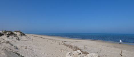 Vlak bij het strand