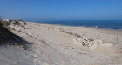 Anacasa Bassetes Playa San Fernando CA550