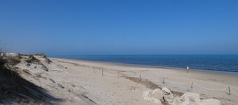 Anacasa Bassetes Playa San Fernando CA550