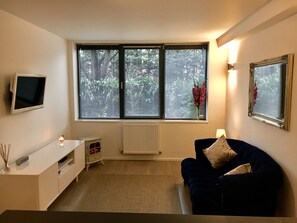 Télévision, lecteur de DVD, livres, médiathèque