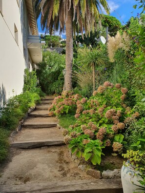 المنطقة المحيطة بالمنشأة