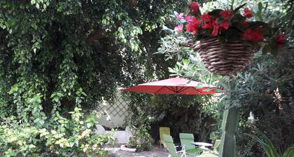Arco studio with large backyard in the historic center of Tavira.