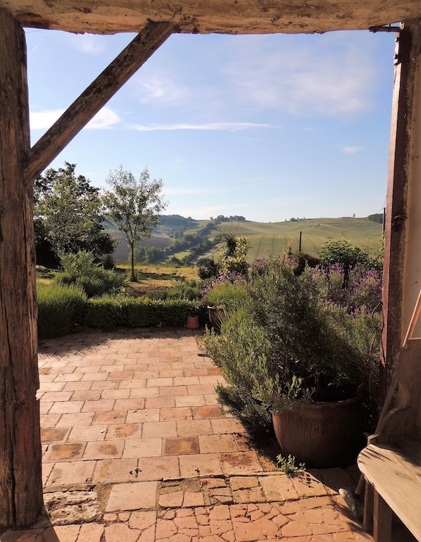 Property grounds - Charming cottage in the French countryside (Lavit)