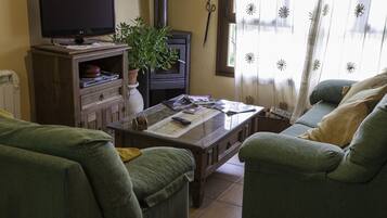 TV, fireplace, books