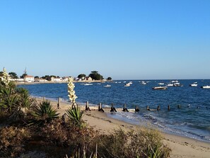 In Strandnähe, Liegestühle, Strandtücher