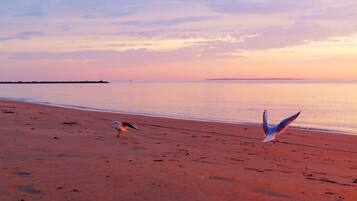 Plage à proximité