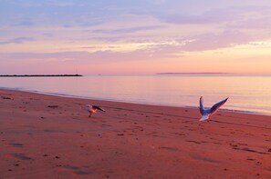 Plage à proximité