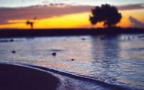 Beach nearby - Pretty recent villa 3 bedrooms, 100 M from the beach Chatelaillon Plage (Châtelaillon-Plage)