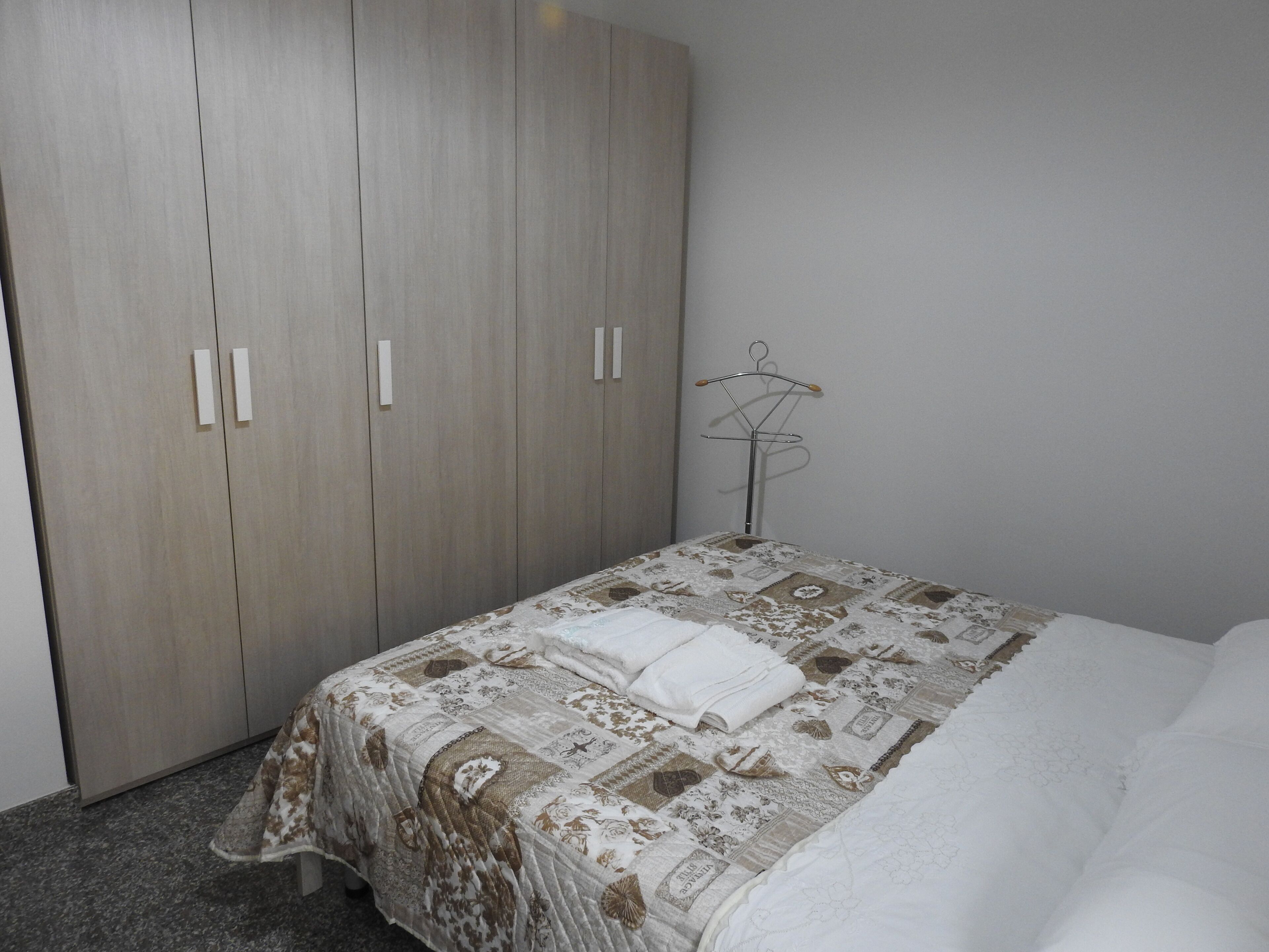 Olive trees stay between sea and mountains