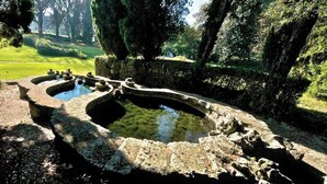 Una fuente de piedra con un cuenco circular y escalones, rodeada de follaje y árboles.