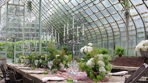 Un invernadero con una mesa dispuesta para un evento formal, rodeado de plantas y flores en macetas.