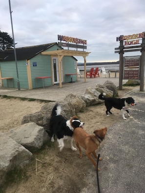Un emplacement en bord de mer, avec une enseigne indiquant « Harbour Edge », et des commodités telles qu’un café de plage et des activités nautiques. On y trouve des structures en bois et un espace de repos abrité.